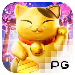 tokatescortara: Lucky Neko