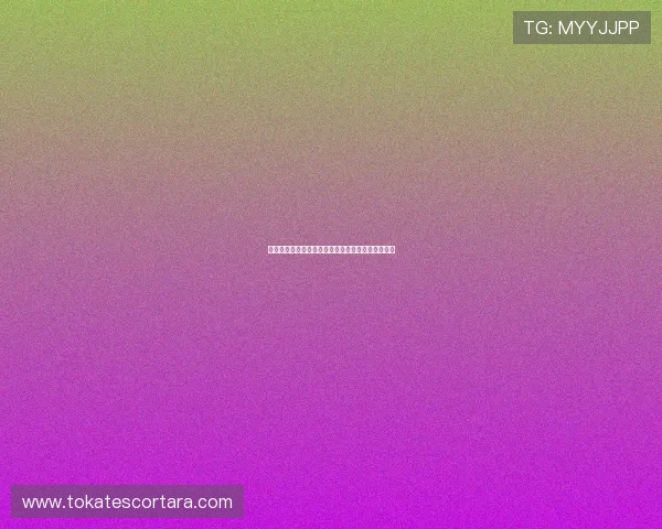 世界杯期间体育投注风险控制与盈利策略全方位解析